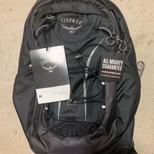 Osprey Axis Daypack